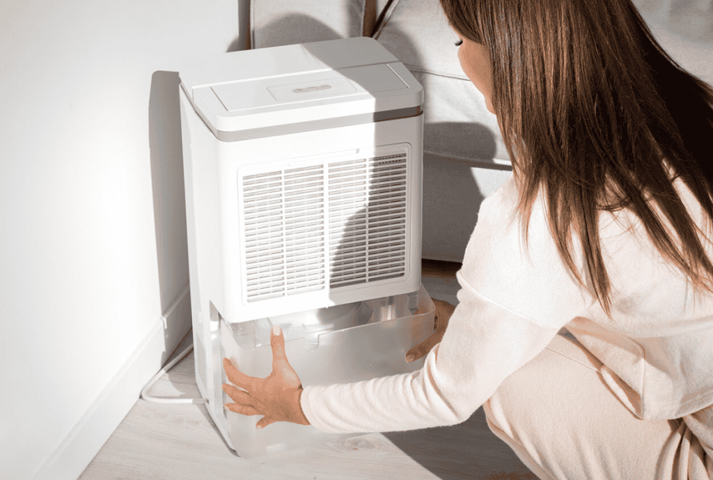 Air Cleaner and Dehumidifier