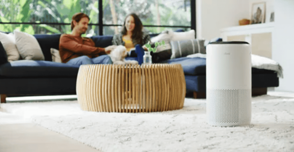 air cleaners for home allergies
