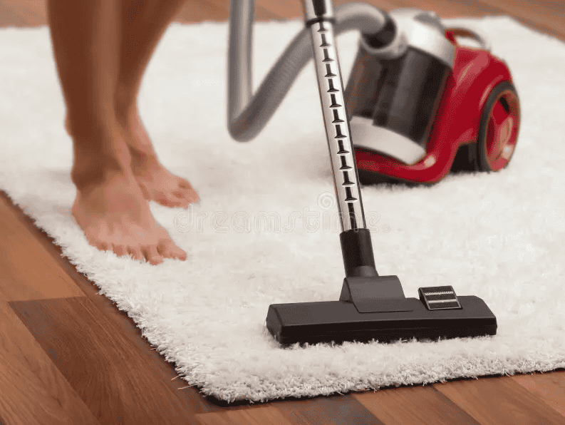 rug doctor portable spot cleaner best price